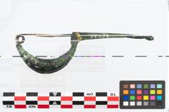 Foto von Bronzekahnfibel (NHMW-PRAE-026425)